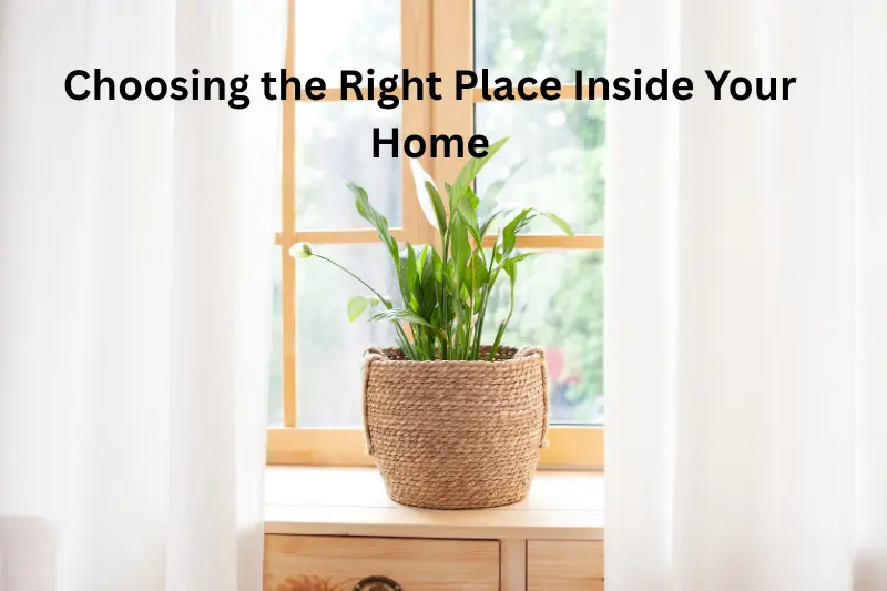 Choosing the Right Place Inside Your Home