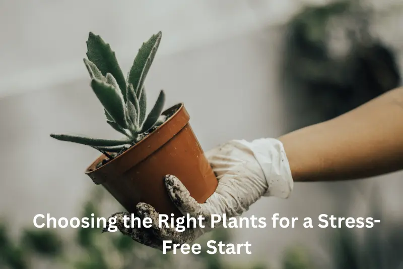 Choosing the Right Plants for a Stress-Free Start