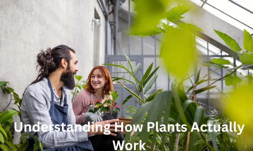 Understanding How Plants Actually Work