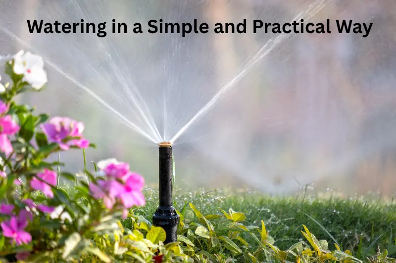Watering in a Simple and Practical Way