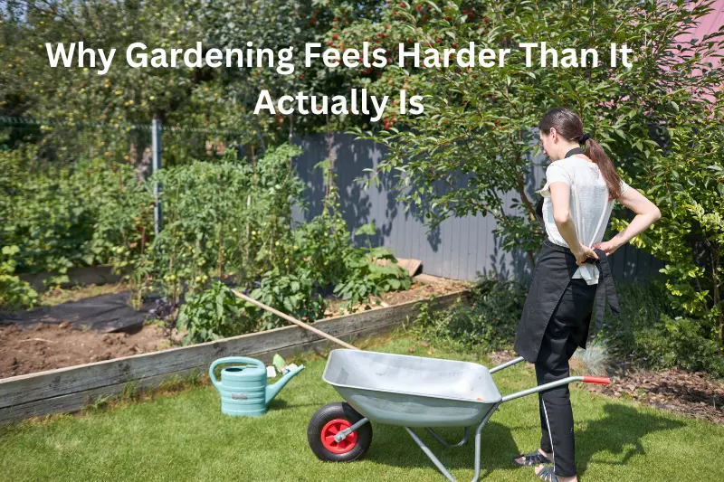 Why Gardening Feels Harder Than It Actually Is