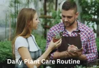 Daily Plant Care Routine