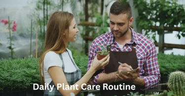 Daily Plant Care Routine