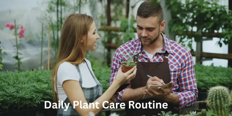 Daily Plant Care Routine