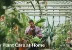 Easy Plant Care at Home
