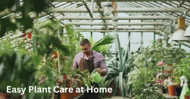 Easy Plant Care at Home