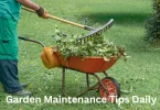 Garden Maintenance Tips Daily