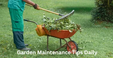 Garden Maintenance Tips Daily