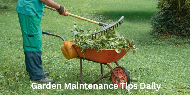 Garden Maintenance Tips Daily