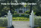 how to start a home garden