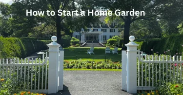 how to start a home garden