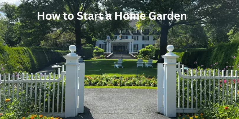 how to start a home garden
