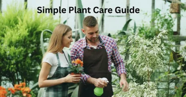 Simple Plant Care Guide