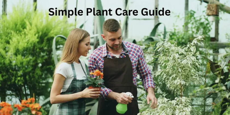 Simple Plant Care Guide