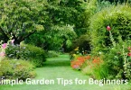 Simple Garden Tips for Beginners