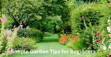 Simple Garden Tips for Beginners
