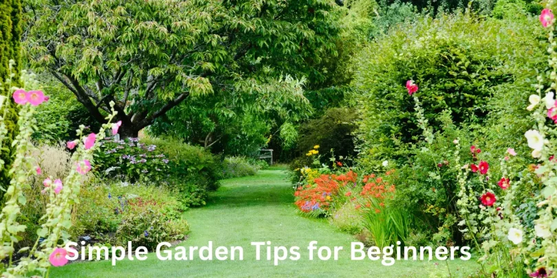 Simple Garden Tips for Beginners
