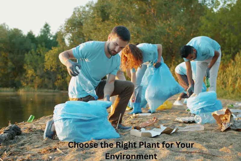 Choose the Right Plant for Your Environment (1)