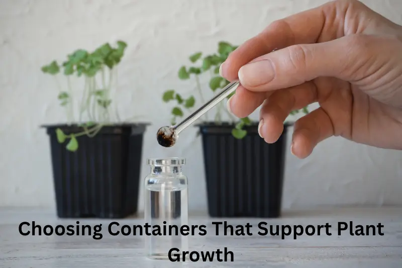 Choosing Containers That Support Plant Growth