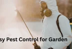 Easy Pest Control for Garden