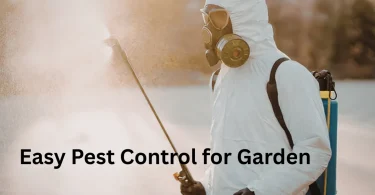 Easy Pest Control for Garden