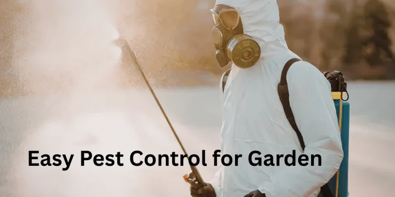 Easy Pest Control for Garden