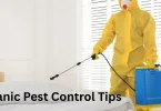 Organic Pest Control Tips
