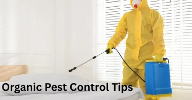 Organic Pest Control Tips