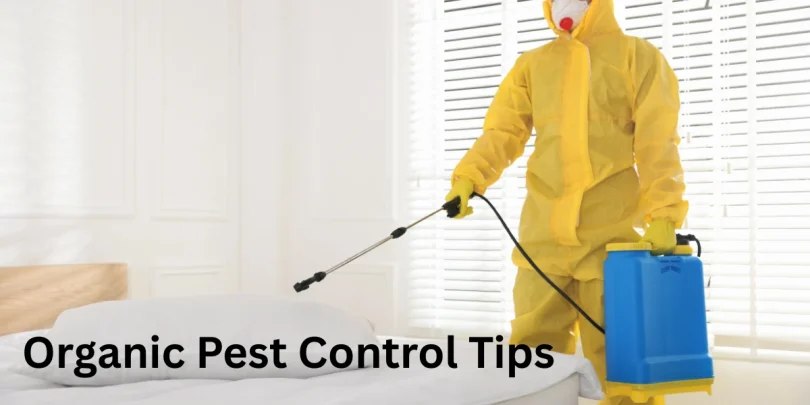 Organic Pest Control Tips