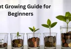 Plant Growing Guide for Beginners