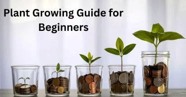 Plant Growing Guide for Beginners
