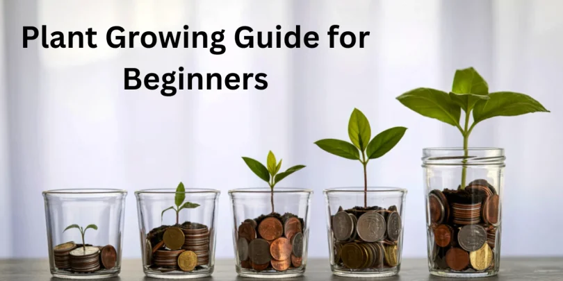 Plant Growing Guide for Beginners