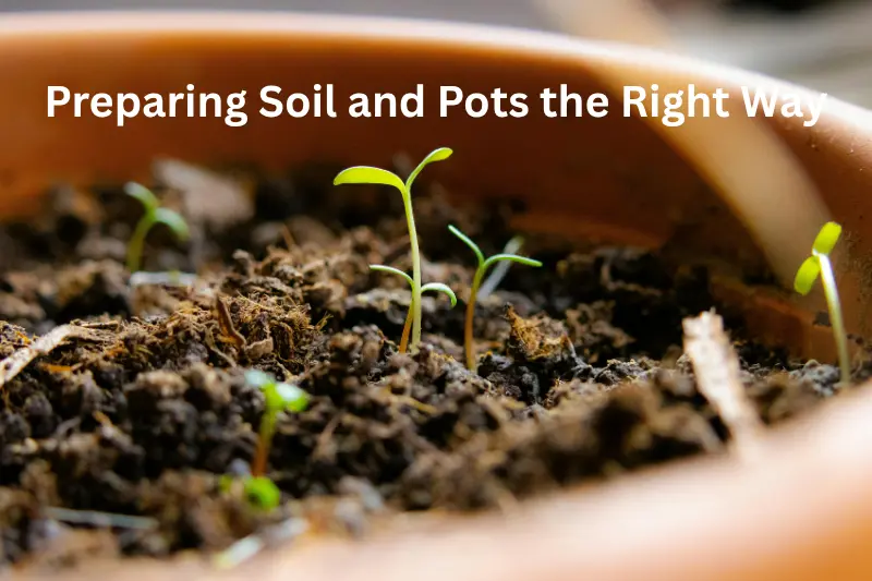 Preparing Soil and Pots the Right Way