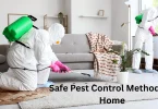 Safe Pest Control Methods at Home