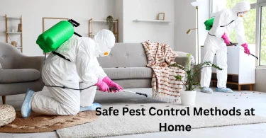 Safe Pest Control Methods at Home