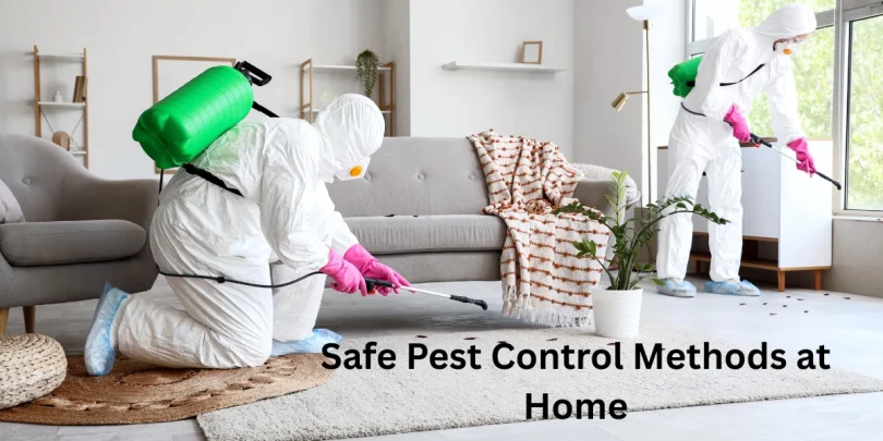 Safe Pest Control Methods at Home