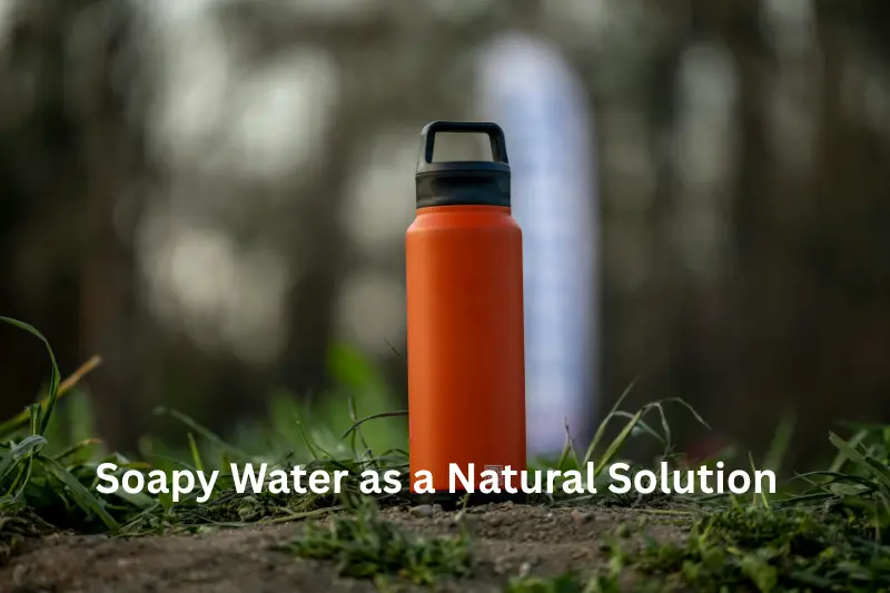 Soapy Water as a Natural Solution