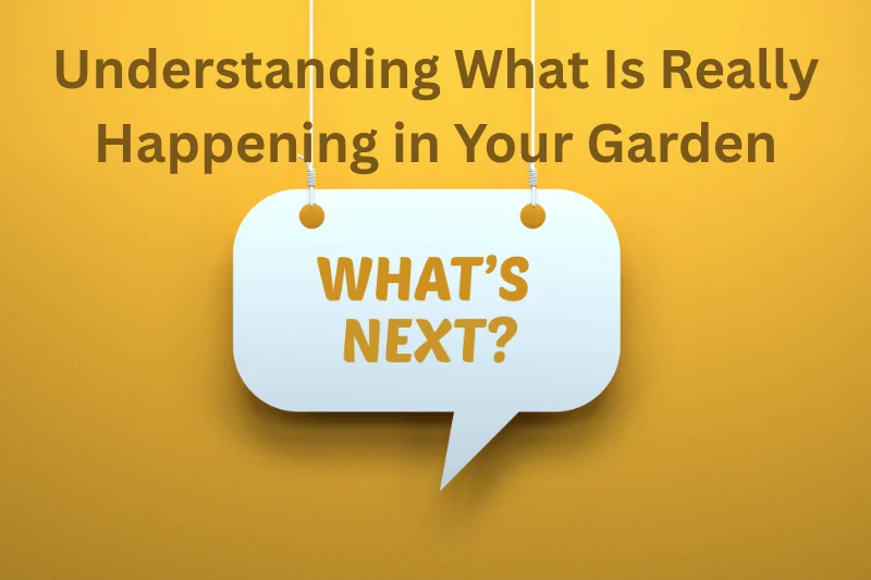 Understanding What Is Really Happening in Your Garden