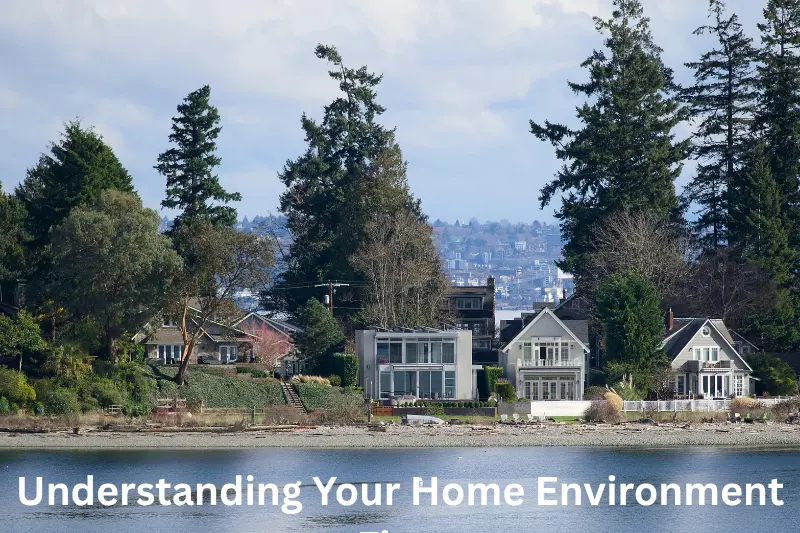 Understanding Your Home Environment First